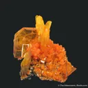 Wulfenite and Mimetite (1973 pocket) - image 3