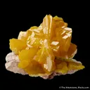 Wulfenite and Mimetite - image 2