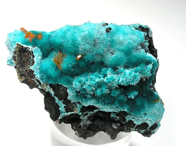 Wulfenite, Aurichalcite image