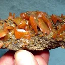 Wulfenite - image 1