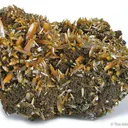 Wulfenite - image 1