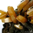 Wulfenite - image 3