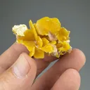 Wulfenite - image 2