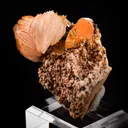 Wulfenite - Barite - image 2