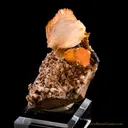 Wulfenite - Barite - image 1