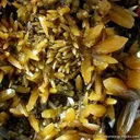 Wulfenite (Bipyramidal) - image 2