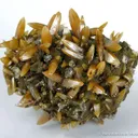 Wulfenite (Bipyramidal) - image 1