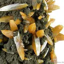 Wulfenite (Bipyramidal) - image 3