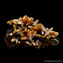 Wulfenite (bipyramidal) - image 2