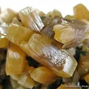 Wulfenite (Bipyramidal) - image 4