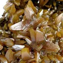 Wulfenite (Bipyramidal) - image 4