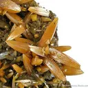 Wulfenite (Bipyramidal) - image 3