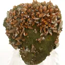 Wulfenite (Bipyramidal Crystals) - image 1
