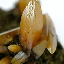 Wulfenite (Bipyramidal) - image 2