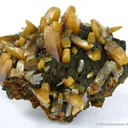 Wulfenite (Bipyramidal) - image 1