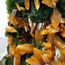 Wulfenite (Bipyramidal) on Mimetite - image 4