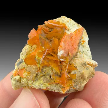 Wulfenite
