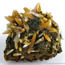 Wulfenite - image 1