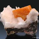 Wulfenite, Calcite on Quartz - image 2