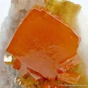 Wulfenite - image 2