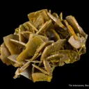 Wulfenite (circa 1900) - image 3