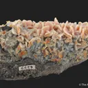Wulfenite coated by Quartz, on Chalcedony - image 5
