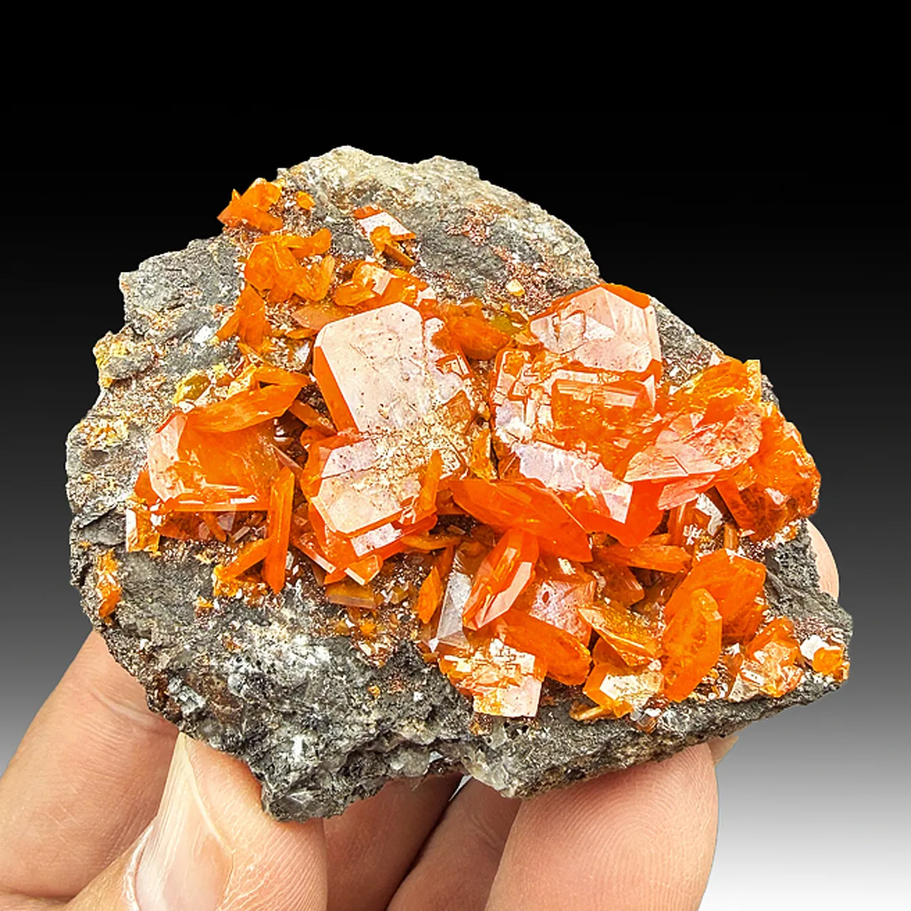 Wulfenite - image 1