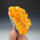 Wulfenite - image 3