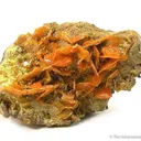 Wulfenite - image 1