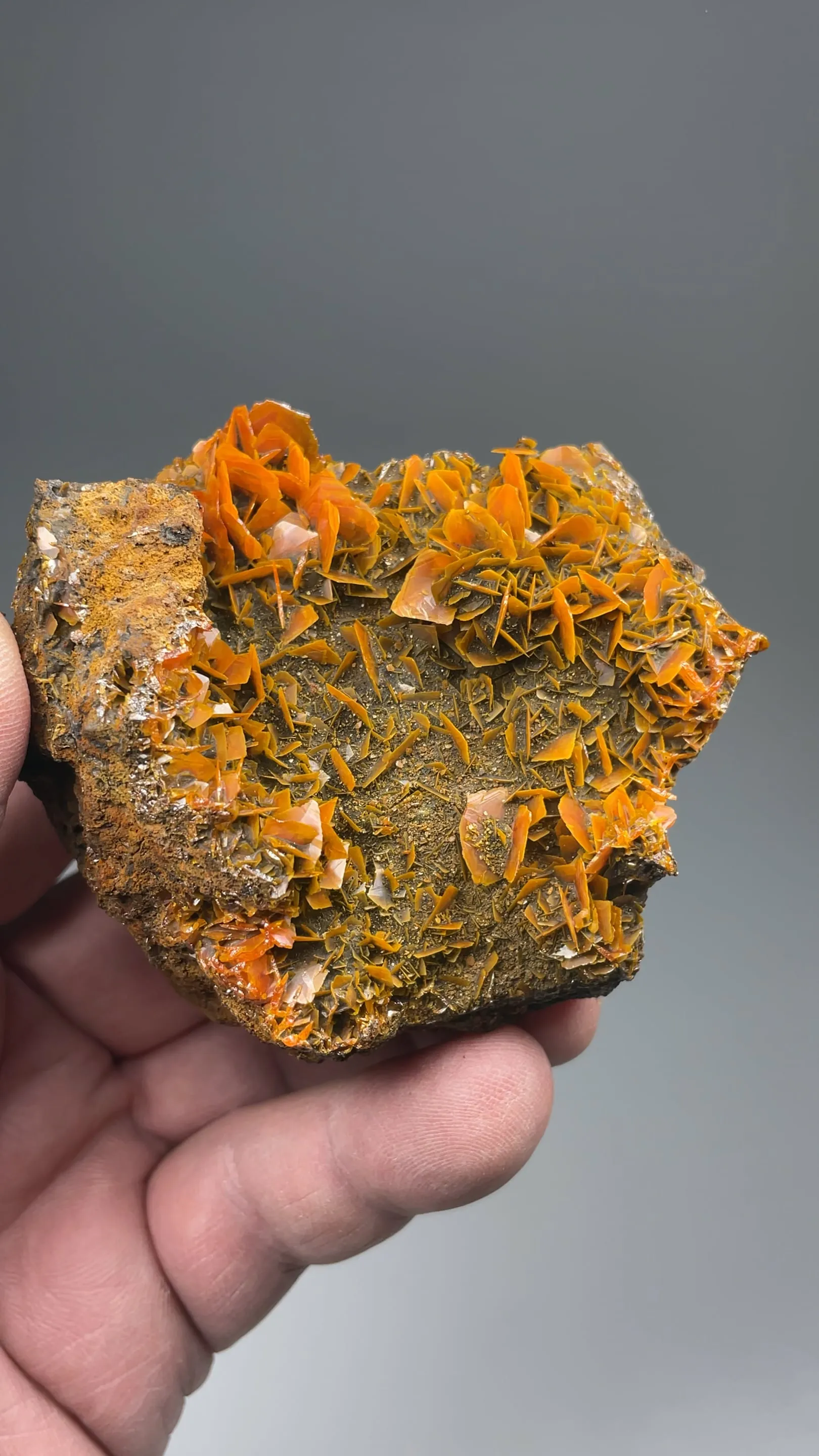 Wulfenite - image 2
