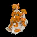 Wulfenite - image 4