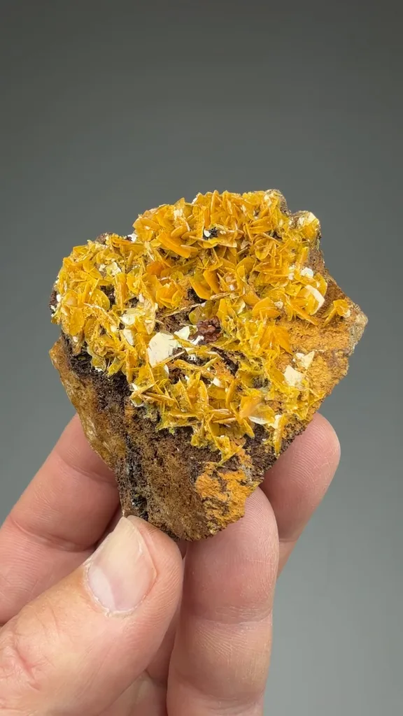 Wulfenite - image 2