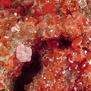 Wulfenite - image 2