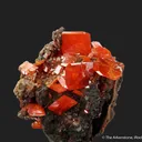 Wulfenite (Ed Over era, circa 1938) - image 1