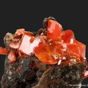 Wulfenite (Ed Over era, circa 1938) - image 5