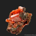 Wulfenite (Ed Over era, circa 1938) - image 6