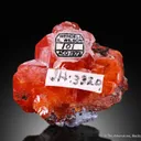 Wulfenite ('Ed Over specimen') - image 2