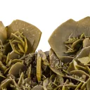 Wulfenite - image 3