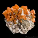 Wulfenite - image 3