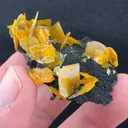Wulfenite from 79 Mine, Arizona, USA - image 2