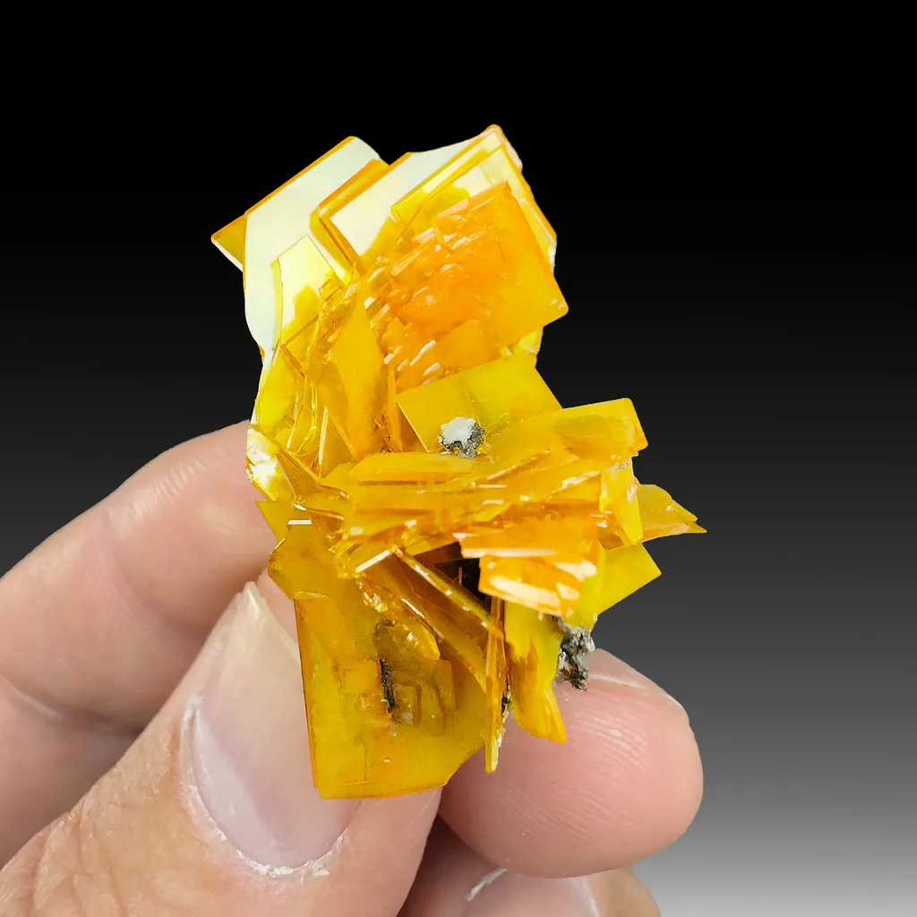 Wulfenite from 79 Mine, Arizona, USA image