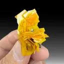 Wulfenite from 79 Mine, Arizona, USA - image 1
