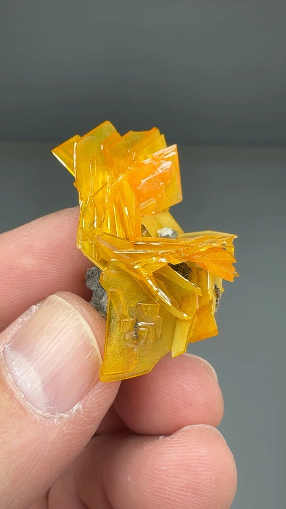 Wulfenite from 79 Mine, Arizona, USA - image 2