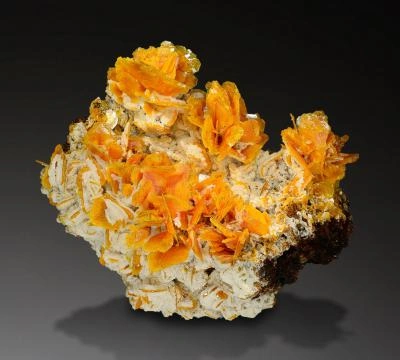 Wulfenite from Ahmad Abad Mine, Yazd Province, Iran image