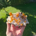 specimen video