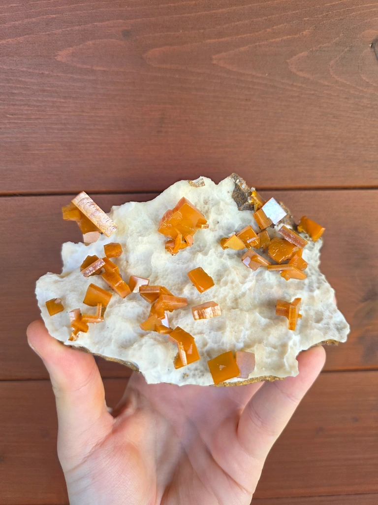 Wulfenite from Erupción Mine, Los Lamentos Mts, Chihuahua, Mexico image
