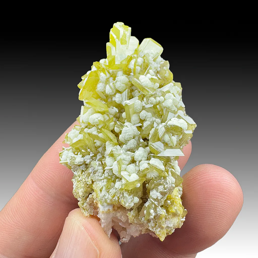 Wulfenite from La Morita Mine, Ascención Municipality, Chihuahua, Mexico image