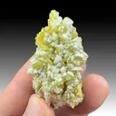 Wulfenite from La Morita Mine, Ascención Municipality, Chihuahua, Mexico - image 1