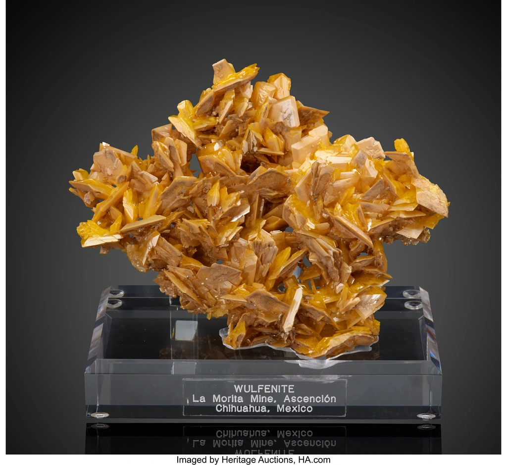 Wulfenite from La Morita Mine, Ascención Municipality, Chihuahua, Mexico image