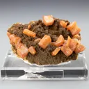 Wulfenite from Los Lamentos Mts, Chihuahua, Mexico - image 1